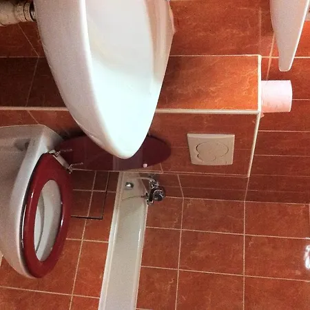 艺术酒店 酒店 *